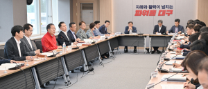 홍준표 시장 “두바이·창이공항 개발 비전, 신공항에 반영”