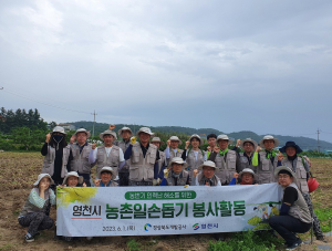 경북도개발공사, 영농철 일손 부족 마늘농가 돕기