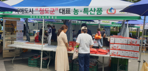 청도 반시ㆍ감말랭이,  자매도시 대구 수성구서 판매  큰 호응