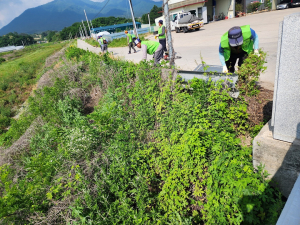 상주시 공성면자연보호협의회, 가시박 제거 봉사