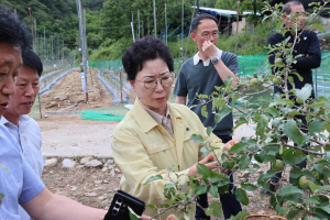 안경숙 상주시의회 의장, 우박 피해 농가 현장 방문