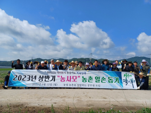 상주시청 농사모회, 농번기 일손돕기 ‘굵은 땀방울’