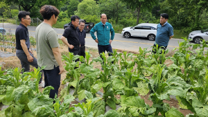 강영석 상주시장 “우박피해농가 지원 최선”