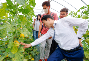 성주군, 베타카로틴 참외 재배 교육
