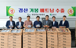 ‘경산 거봉포도’ 베트남 수출길