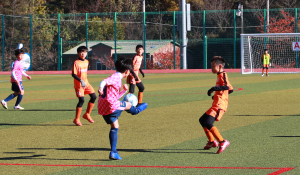 전국 축구 꿈나무들 울진서 치열한 승부