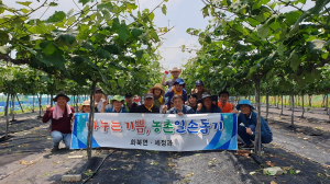 상주시 화북면, 농번기 일손돕기 ‘굵은 땀방울’