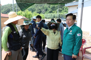 권기창 안동시장 “과수화상병 총력 대응 주문”