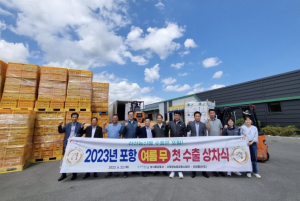 첫 수출길 오른 포항 ‘여름 무’…미국 입맛 사로잡을까