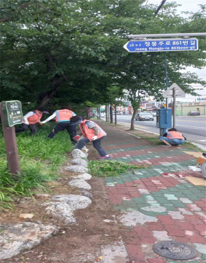 포항시 청림동 건강위원회, 화단잡초 제거