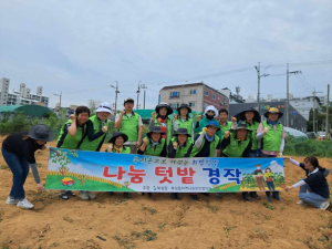 칠곡 북삼읍 지사협, 사랑텃밭 감자 수확