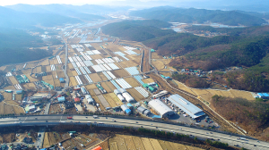 대구 농수산물도매시장 이전사업 속도낸다
