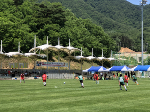 울진금강송배 전국 유소년클럽 축구대회 성료