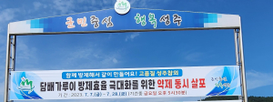 성주군, 담배가루이 긴급 동시방제 캠페인 추진