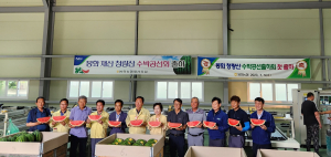 봉화 명품 ‘청량산 재산 수박’ 본격 출하