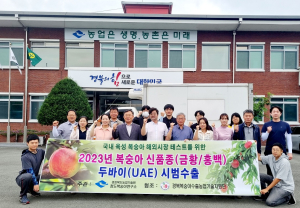 경북도농업기술원 신품종 복숭아, 두바이에 ‘첫 선’