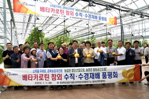 경북도농업기술원, 베타카로틴 참외 수직 수경재배 기술 개발