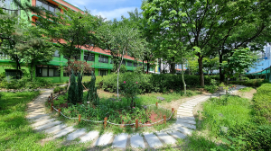 대구시, 계성초·황금초·송현여고에도 학교숲 조성