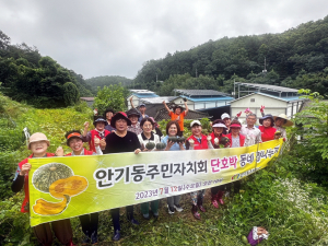 안동시, ‘단호박으로 동네 정 나누기’ 아름다운 마무리