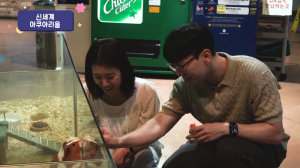 올 여름 휴가는 대구 동구 어때요?