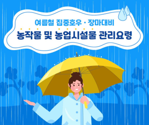 김천시, 장마 대비 농작물 관리 지도