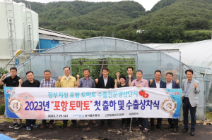포항 죽장 상옥 토마토 일본 수출길 올랐다