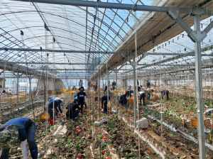 경북도, 폭우 피해지역 회복 ‘민관 합심’