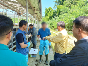 영주시, 호우피해 축산농가에 동물의료지원단 급파