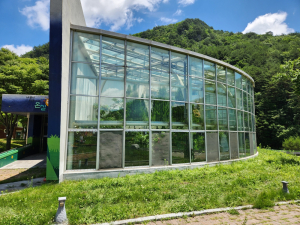 영양군 생태공원사업소, 조류충돌 방지 테이프 부착 실시