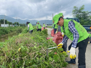 상주 공성면 자연보호협의회, 가시박 제거