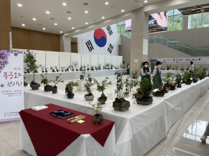 구미시, 무궁화 전시회 개최
