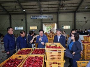 북안동농협, 2023년산 홍고추 본격 출하