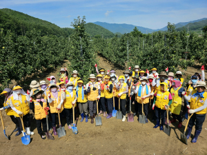 대한적십자봉사회 경산시지구협의회, 수해복구 봉사