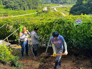 상주시 사벌국면 자연보호협의회, 문경시 수해복구