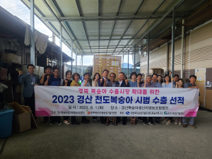 천도복숭아 ‘금홍’ 홍콩ㆍ태국 수출길 올라
