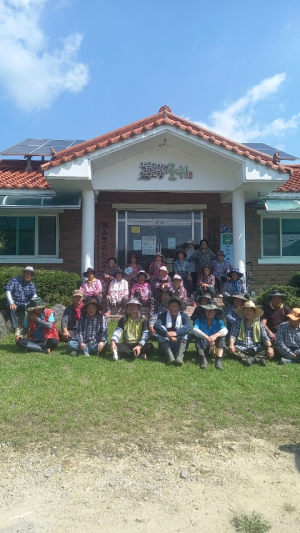 대구 군위군 도산1리, 군위형 마을만들기 도로변 풀베기