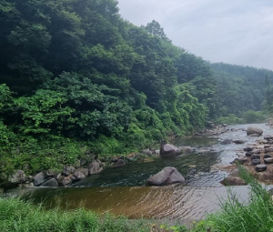 경북도, 휴가철 물놀이지역 수질 검사 강화