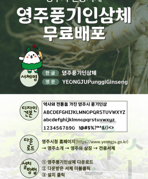 영주시, 전용서체 '영주풍기인삼체' 무료 배포