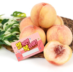 의성眞 복숭아 말복 이벤트 실시