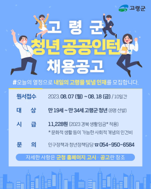 고령군 빛낼 청년 일자리 공공인턴 모집