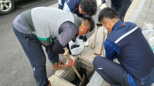 예천군, 태풍ㆍ집중호우 대비 빗물받이 청소