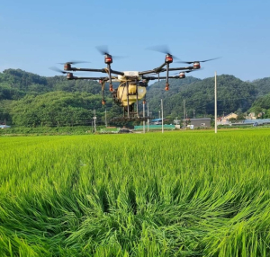 상주시 친환경연, 친환경 유기농 약제로 드론 방제 '눈길'