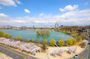 수성구, 수성못 주변 현수막 설치 금지