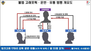 “캐도 캐도 끝이 없어”…‘불법 고래’ 유통 계속 수사 중