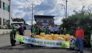 군위군 우보면 새마을부녀회, 시가지 내 환경정화 활동