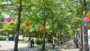 대구시, 산림청 ‘가로수 조성ㆍ관리’ 권역별 교육 개최
