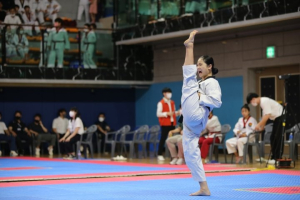 문경서 전국 한마음태권도대회