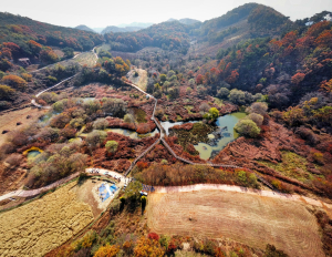 문경 돌리네습지 , 세계 람사르습지 도시 최종 후보지 선정