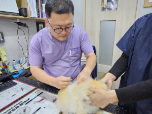 대구시, 가을철 광견병 예방접종