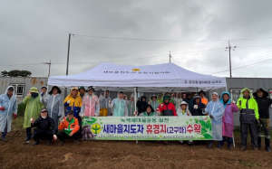 새마을지도자포항시협의회, 휴경지 고구마 수확